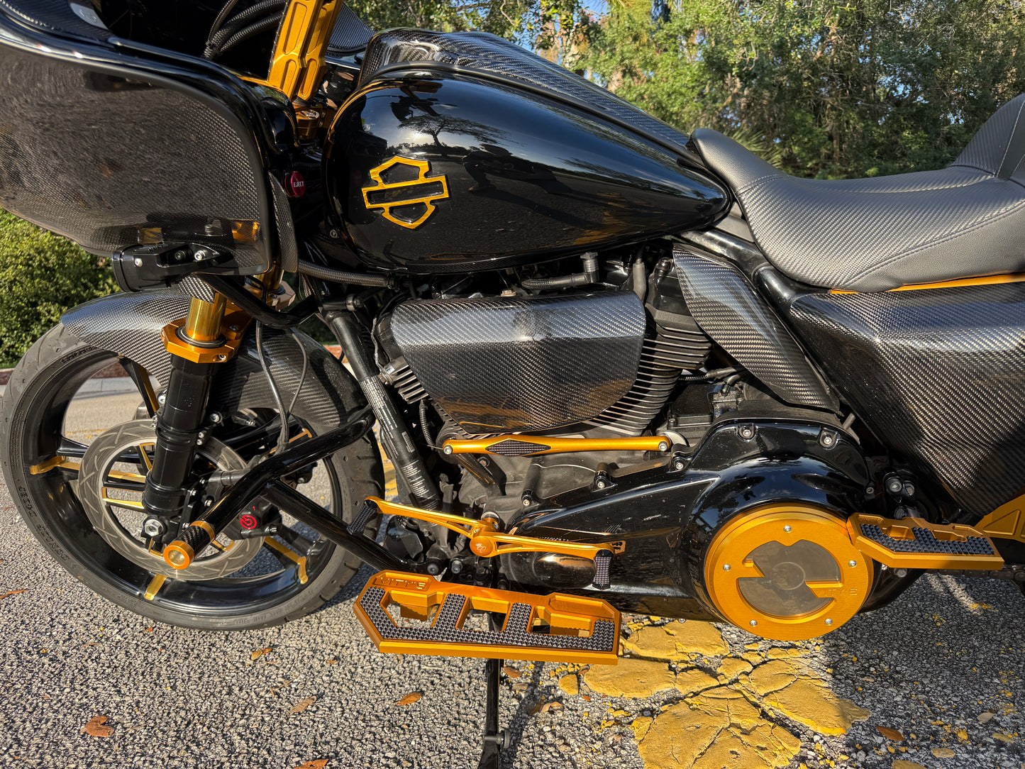 Touring Carbon Horn Fang